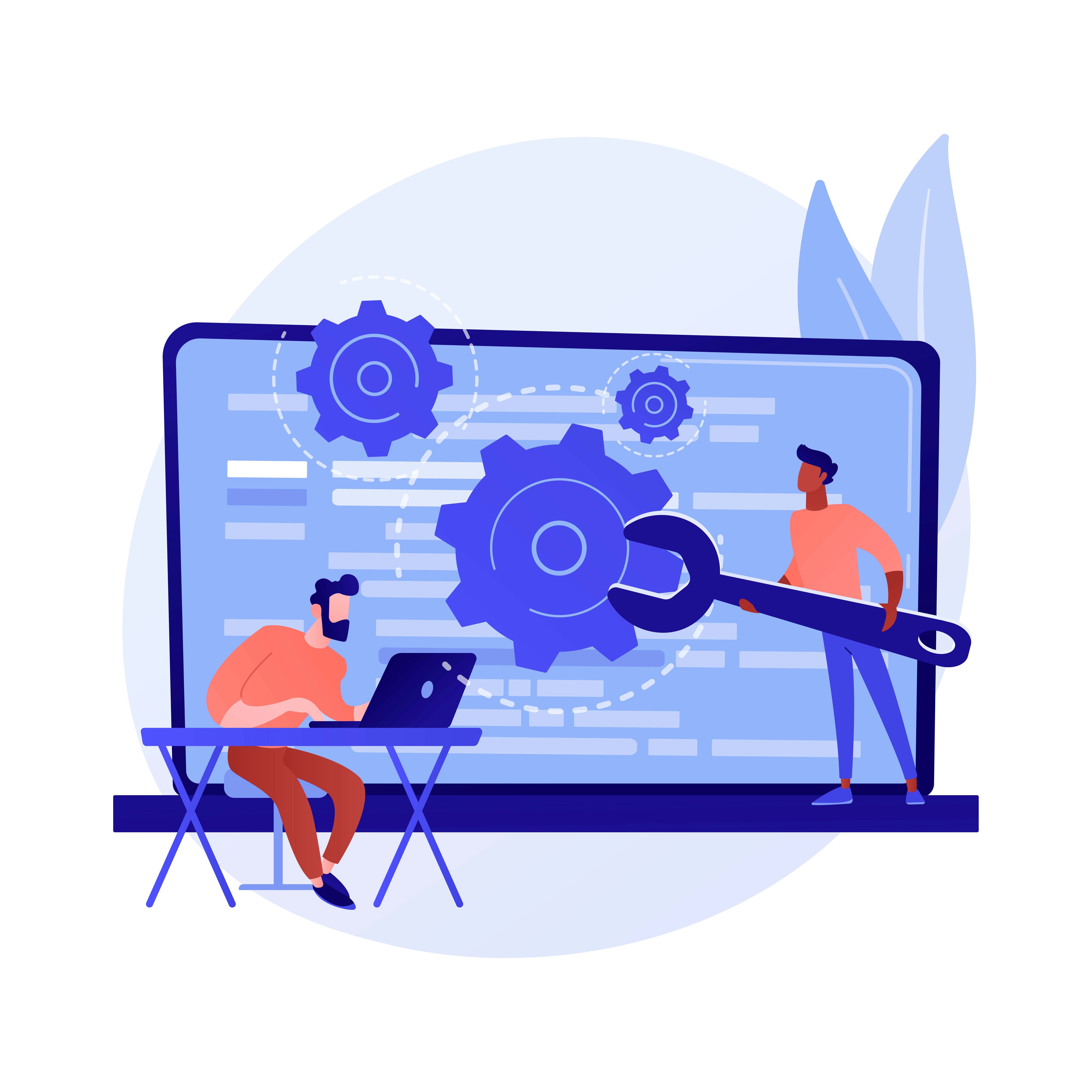 custom software